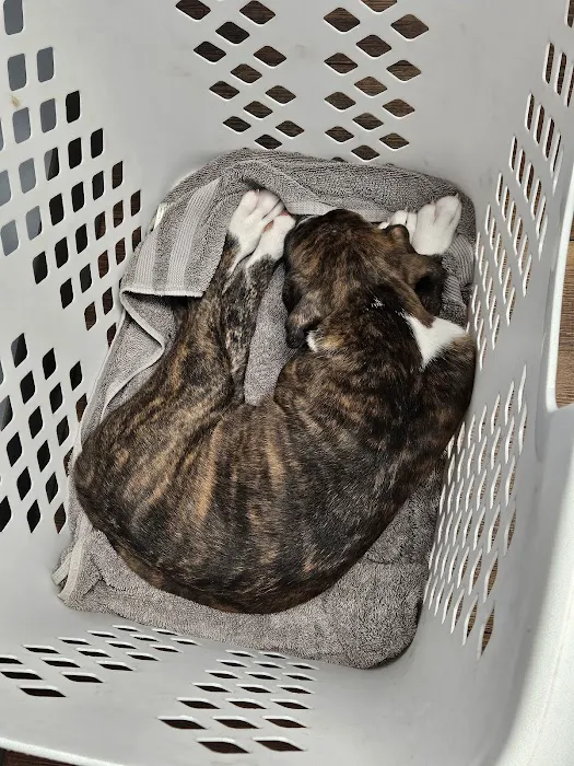Hartschuh Veterinary Services 6