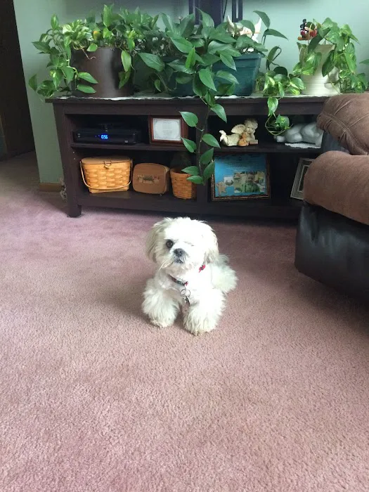 Edgefield Animal Care Center 4