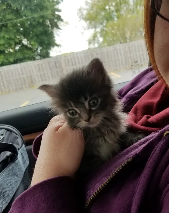 Edgefield Animal Care Center 8