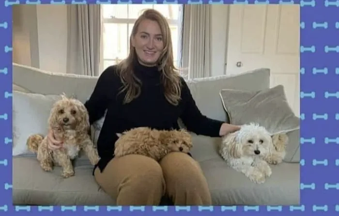 Cavapoo Puppies For Rehoming 12