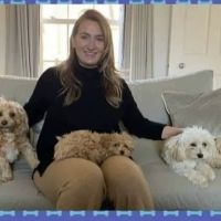 Cavapoo Puppies For Rehoming ico
