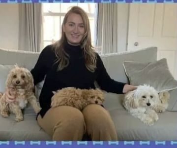 Cavapoo Puppies For Rehoming
