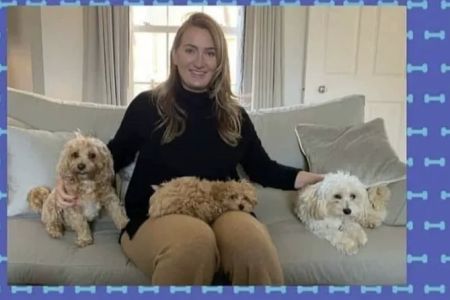 Cavapoo Puppies For Rehoming