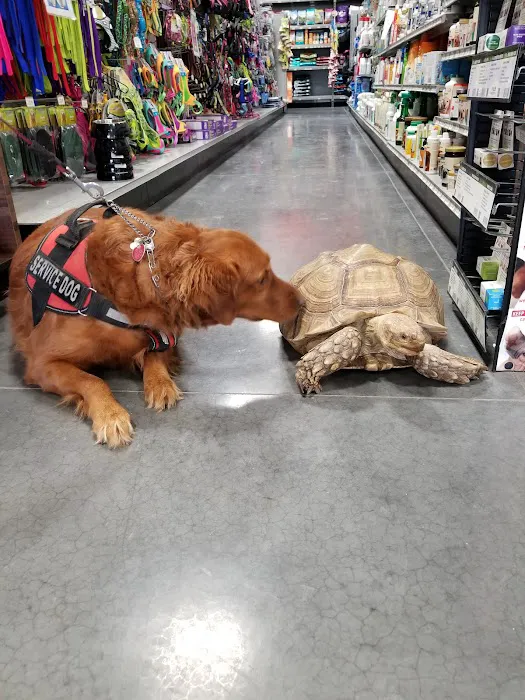 We Lov Pets 12