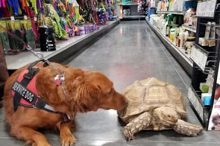 We Lov Pets