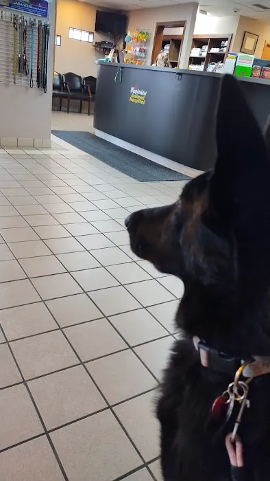 Mapleview Animal Hospital 5