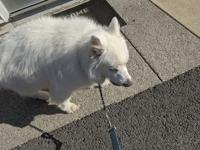 Mapleview Animal Hospital 3