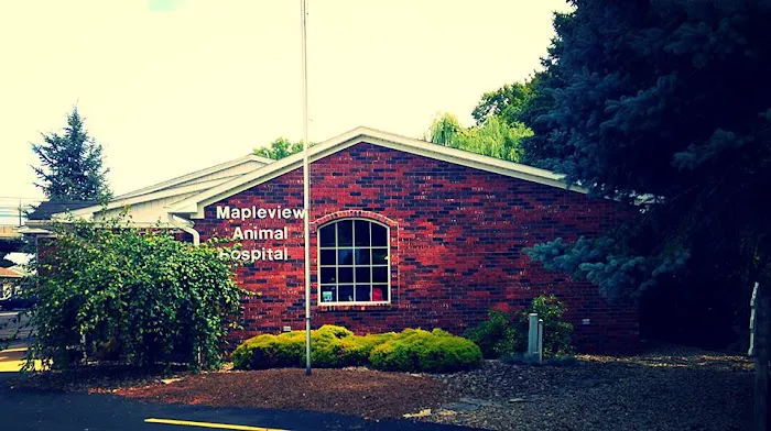 Mapleview Animal Hospital 10