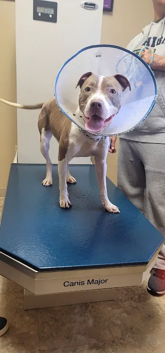 VERMILION VETERINARY CLINIC 2
