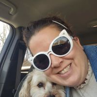 Harbor Town Animal Clinic ico