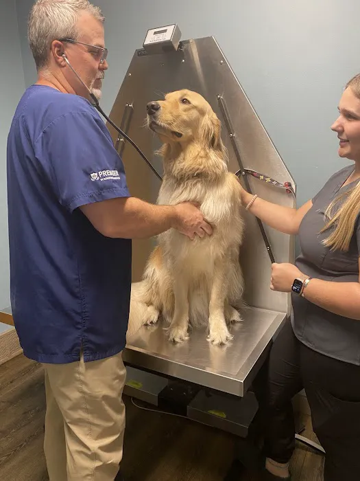 Harbor Town Animal Clinic 2