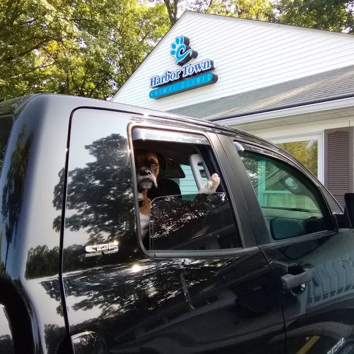 Harbor Town Animal Clinic 6