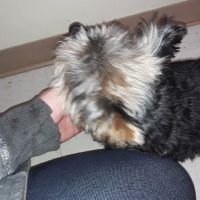 Quail Valley Veterinary Clinic ico