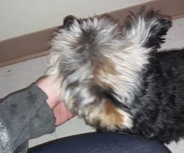 Quail Valley Veterinary Clinic