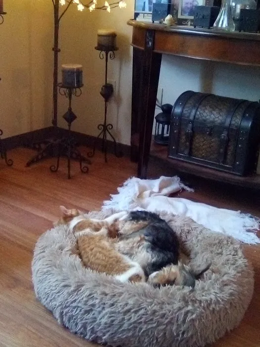Quail Valley Veterinary Clinic 5