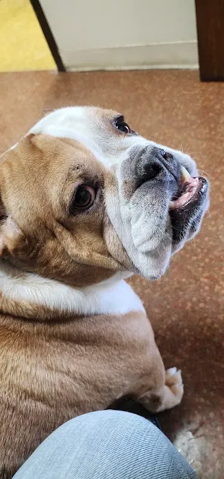 Capital City Animal Hospital 4