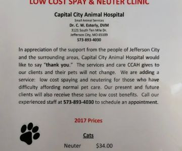 Capital City Animal Hospital