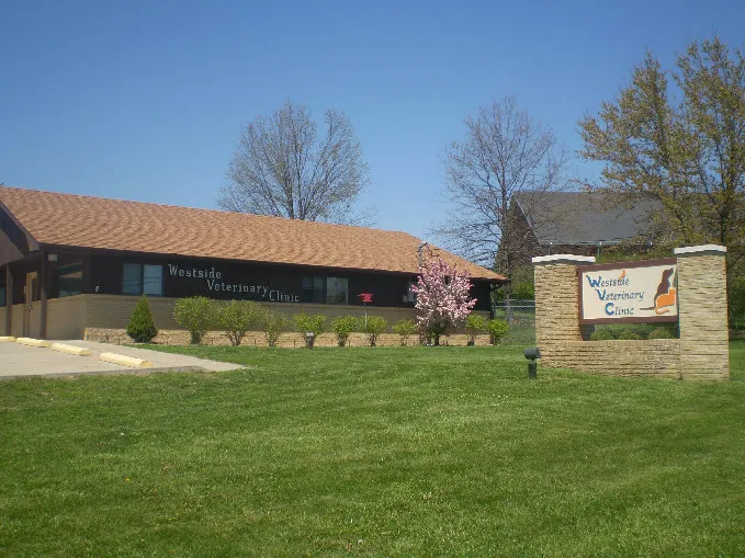 Westside Veterinary Clinic 5