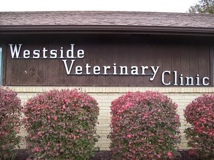 Westside Veterinary Clinic 7