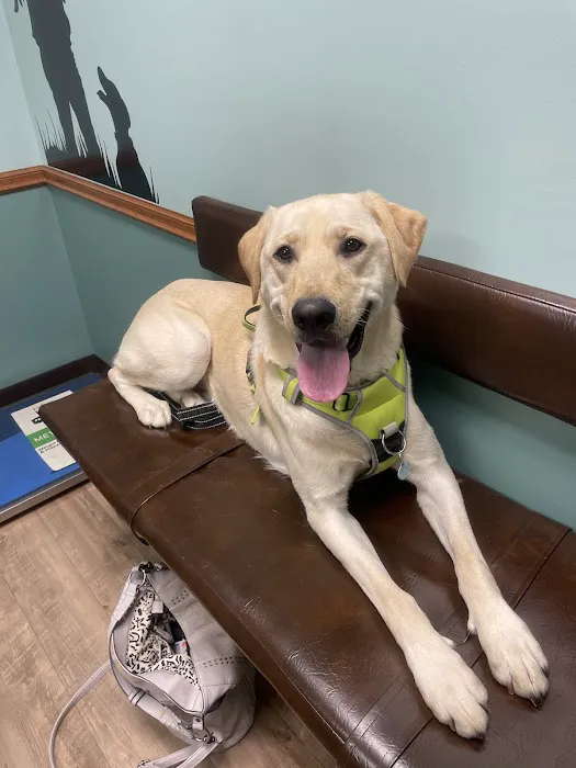 Westside Veterinary Clinic 2