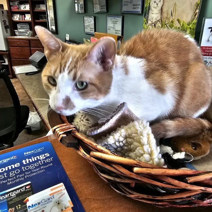 Westside Veterinary Clinic 9