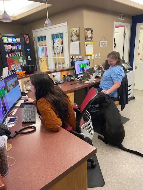 R Veterinary at Cross Creek 7