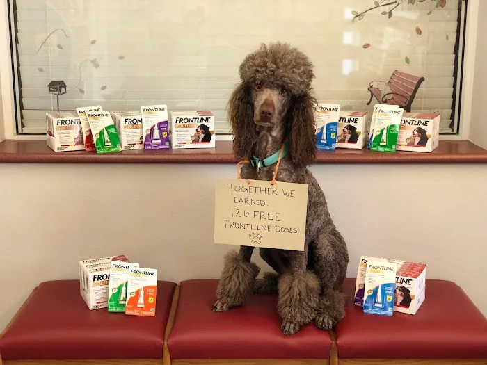 R Veterinary at Cross Creek 1