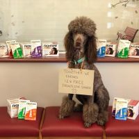 R Veterinary at Cross Creek ico