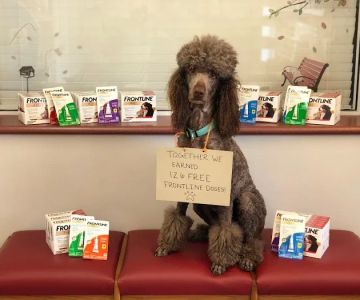 R Veterinary at Cross Creek