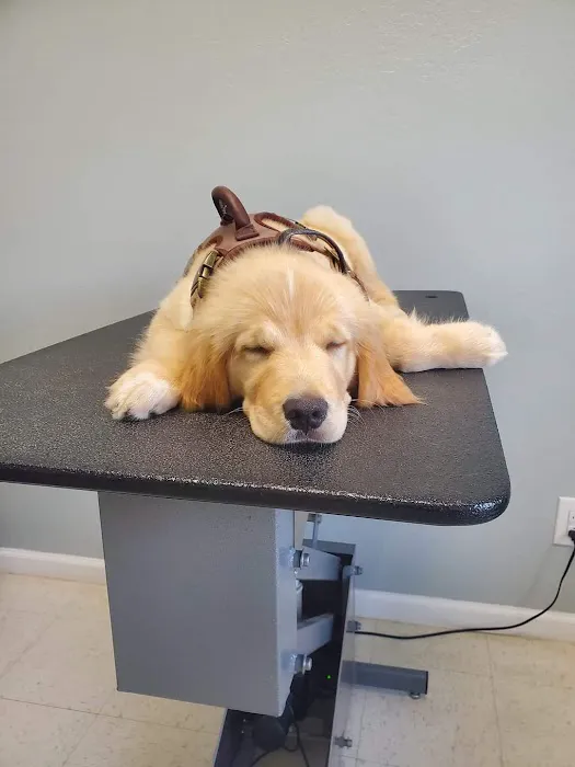 Healthy Pet Wellness Center 4