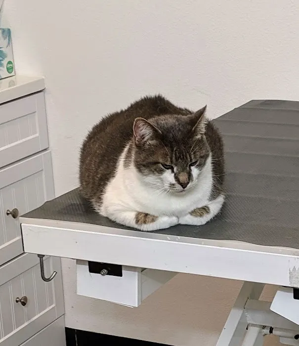 Healthy Pet Wellness Center 5