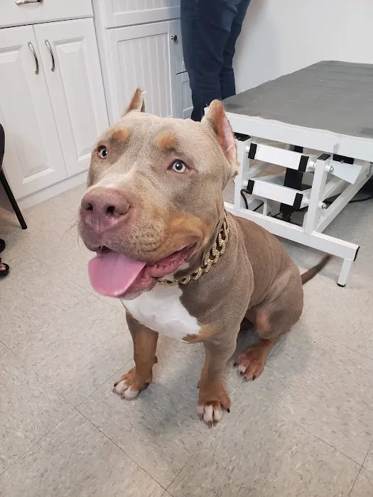 Healthy Pet Wellness Center 2