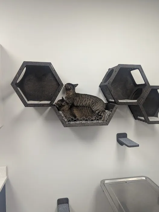 Rosewood Pet Hospital 3