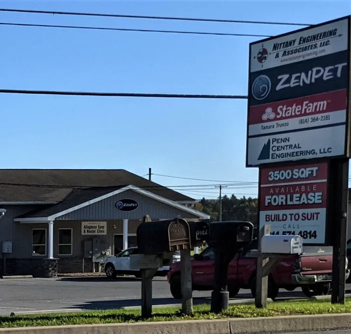 ZenPet Sayre Veterinary Acupuncture 2
