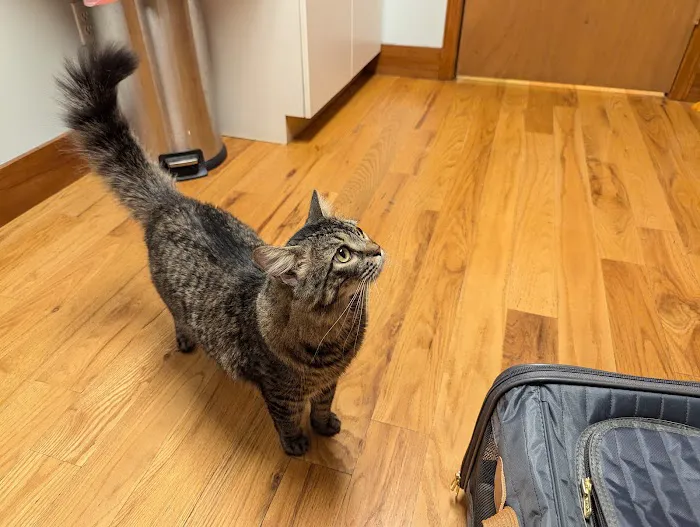 Happy Valley Veterinary Hospital 1