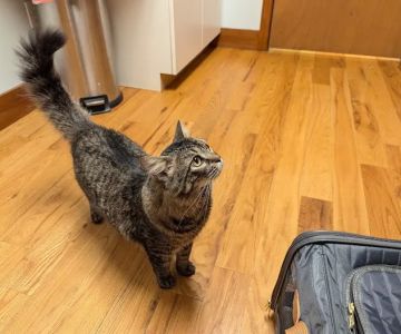 Happy Valley Veterinary Hospital