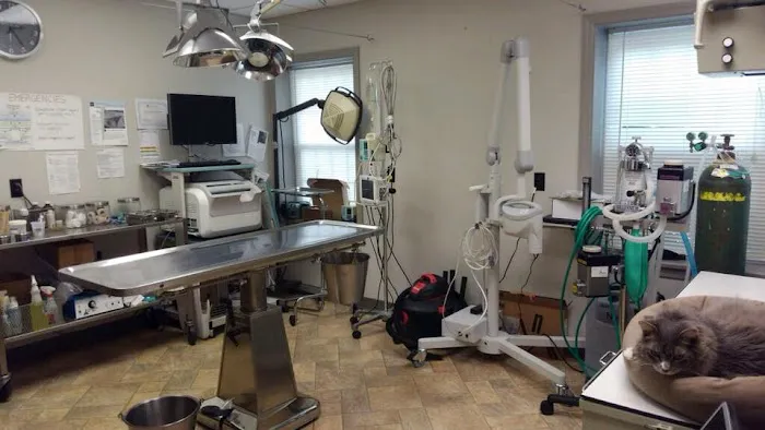 University Drive Veterinary Hospital 3