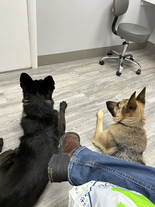 Mt. Nittany Veterinary Hospital 12