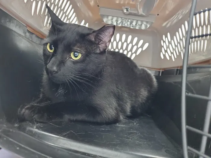 Mt. Nittany Veterinary Hospital 12