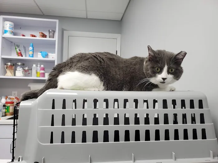 Mt. Nittany Veterinary Hospital 12