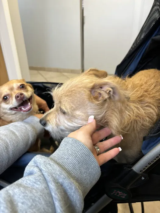 Mt. Nittany Veterinary Hospital 12