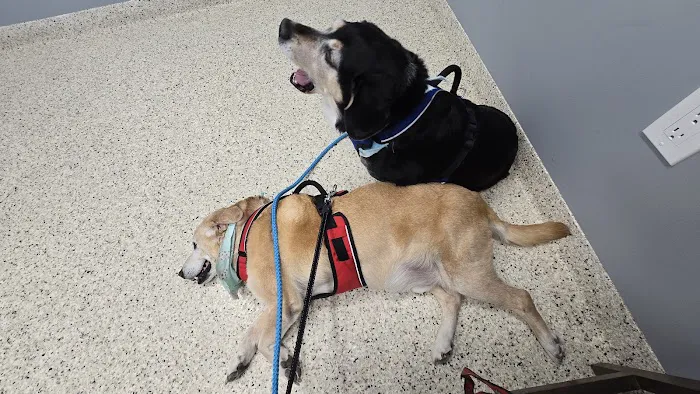 Metzger Animal Hospital: Mannino Shelly DVM 12