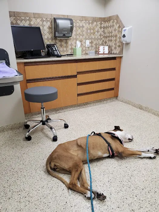 Metzger Animal Hospital: Mannino Shelly DVM 12