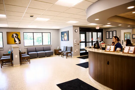 VCA Metzger Animal Hospital 5