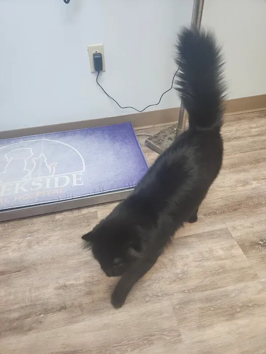 Creekside Animal Hospital 6