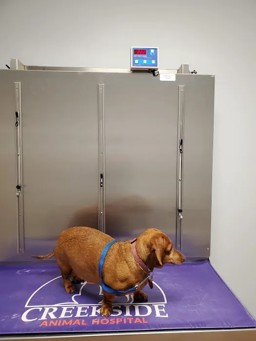 Creekside Animal Hospital 4