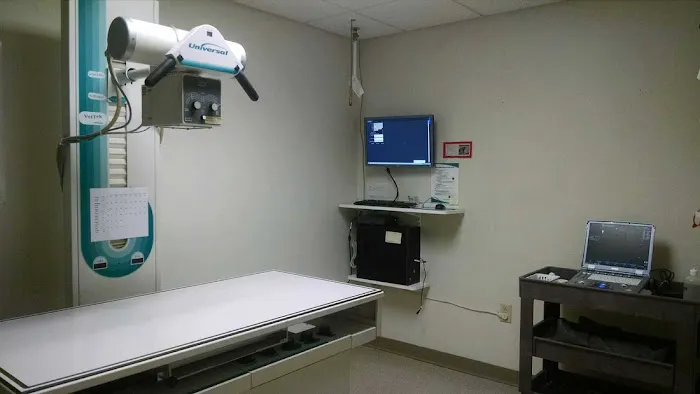 Veterinary Associates, LLC 2