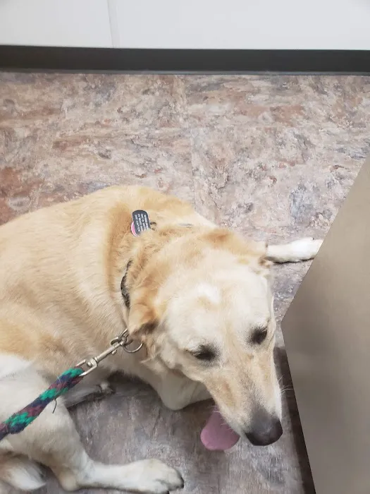 Veterinary Associates, LLC 3