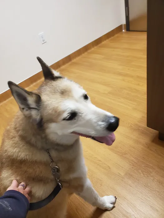 Port Cities Animal Hospital 9