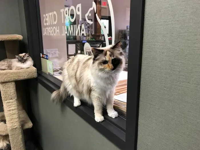 Port Cities Animal Hospital 10